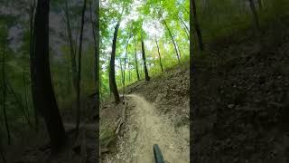 Bobcat TrailBrown County State Park Fall is in the air amp this trail never disappoints mtblife [upl. by Mowbray]