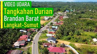 TANGKAHAN DURIAN BRANDAN BARAT LANGKAT [upl. by Delanos]