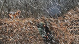 HIDING in Dugout Shelter in Heavy Rain Winter Bushcraft [upl. by Trinatte302]