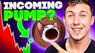 POPCAT SOL Crypto Price Prediction and News amp Meme Coin Highlights [upl. by Ardnael]