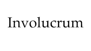 How to Pronounce Involucrum [upl. by Iney]