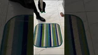 Dirtiest Rug cleaning Mind relaxing youtubeshorts [upl. by Barde873]