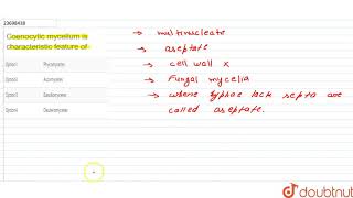 Coenocytic mycelium is characteristic feature of n [upl. by Latton]