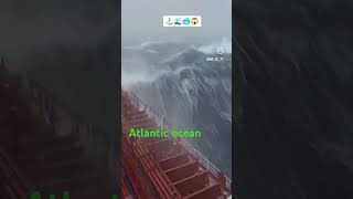 atlantic mahasagaroceanlife shortsvideo [upl. by Nuawed57]