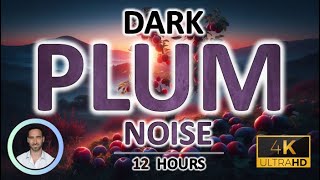 Dark Red Plum Noise for Instant Deep Sleep  12 Hours  BLACK SCREEN  Tinnitus amp Anxiety Relief [upl. by Neils427]