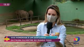 Zoo Pomerode é um santuário da fauna silvestre do mundo todo [upl. by Leach]