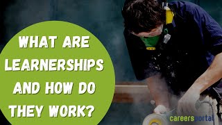 What Are Learnerships And How Do They Work  Careers Portal [upl. by Alleusnoc371]