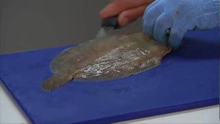 How to fillet a flat fish [upl. by Ok]