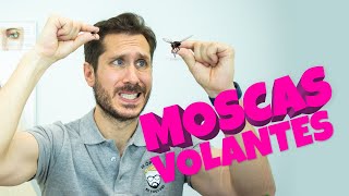 🚀 MOSCAS VOLANTES ¿CÓMO ELIMINARLAS [upl. by Llenil44]