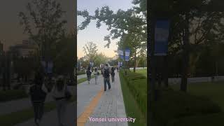 Yonsei university [upl. by Pontone]