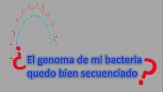 ¿El genoma de mi bacteria quedo bien secuenciado [upl. by Brent878]