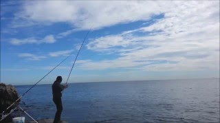 VIDEO PESCA AL SARAGO DA TERRA A ROCK FISHING BREAM PECHE DU SAR PESCA DE SARGO [upl. by Hugon]