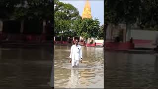 bhagalpur tmbu university bhagalpurreels trending shorts collage flood reels newsreel [upl. by Nnaik]