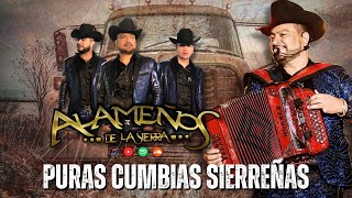 Los Alameños de La Sierra  30 Mejores Canciones  Las Mas Chingonas Pa Bailar  El Baile de Año [upl. by Winebaum]