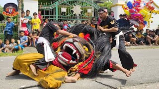 Barongan Kesurupan Ngamuk  Barongan Singo Rogowongso live Kemantren Godong  BarongBoys [upl. by Ahsilram]