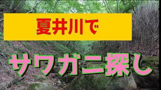 釣りバカ日誌8の舞台となった夏井川でサワガニ探し [upl. by Notsgnal]