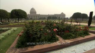 Mughal Gardens The Charm of Rashtrapati Bhavan [upl. by Dixon125]