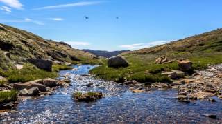 Kosciuszko National Park  The Main Range and Dead Horse Gap Tracks [upl. by Wj505]