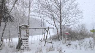 Sneeuwval op 24 januari 2015 Ardennen [upl. by Livi]