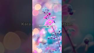 Kara chulukkam vaattom maalinyangal TPM Malayalam song tpm tpmsongs malayalammusictpmmusic song [upl. by Retsim]