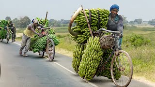 Africa’s Cheapest Solution to Transport Tons of Farm Product [upl. by Laval76]