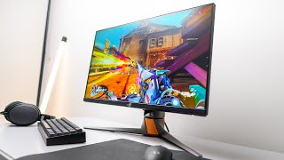 Gaming at 360Hz Asus PG259QN Review [upl. by Letnohs939]