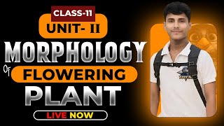 MORPHOLOGY OF FLOWERING PLANTS CLASS 11  NCERT DEEP LINES  COMPLETE NCERT FOR NEET 2025 [upl. by Llerral]