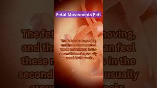 Fetal Movements Felt [upl. by Walkling]