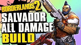 Gunzerker Build Guide  Salvador All Damage OP 10 Build  Borderlands 2 2019 [upl. by Salomi]