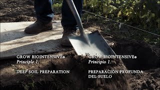 2 Deep Soil Preparation [upl. by Nivlad]