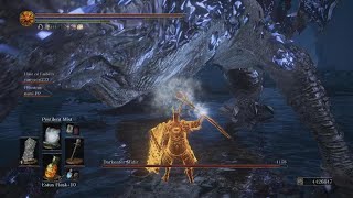 DS3 Midir vs Pestilent Mist  Coop [upl. by The]