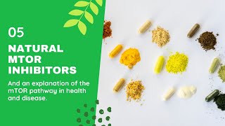 mTOR Explained  mTOR Signaling Pathway  mTOR Inhibitors Mechanism of Action  mTOR Inhibitors [upl. by Darcie]