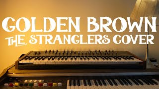 Golden Brown  The Stranglers Albert Salt Cover [upl. by Slocum]