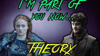 The Sansa Theory That Just Isnt True Game of Thrones [upl. by Lledraw]