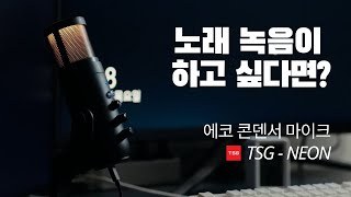 가성비 노래 녹음 마이크 추천 에코 기능이 있는 TSG NEON [upl. by Ateekram758]