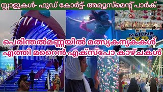 Marine Expo perinthalmanna പെരിന്തൽമണ്ണയിൽ മത്സ്യകന്യകകൾ എത്തി മറൈൻ എക്സ്പോ കാഴ്ചകൾ [upl. by Vince]