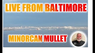 Live From Baltimore Minorcan Mullet [upl. by Nigle]