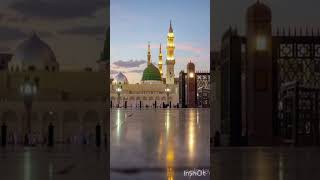 Musthafa Musthafa arabic song❤️ [upl. by Hachman]