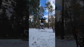 Homemade forest snowboard park [upl. by Polly]