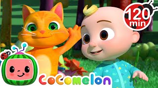 The Animal Dance Song  CoComelon  Animals for Kids  Sing Along  Learn about Animals [upl. by Asiek]