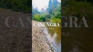 Canungra by the river after school downtime riverside outdoors family [upl. by Gassman]