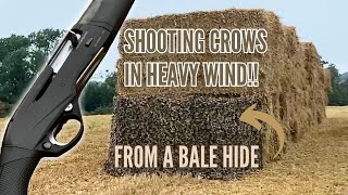 Shooting Crows with a Benelli Montefeltro in a Bale Hide  Lots of Crows  Fast Shooting [upl. by Eizzil]