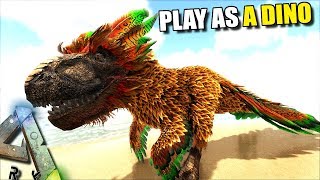 THE FEATHERD REX  PLAY AS A DINO  ARK SURVIVAL EVOLVED [upl. by Idnyl]