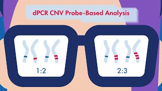 QIAgenius  Top questions on using digital PCR for analysis of copy number variations [upl. by Leontine934]