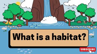 what is a habitat for kids  what is a habitat grade 4  animal habitat project [upl. by Aibat]