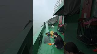 lives on a ship 😱 shortsfeed viralvideo viralshorts [upl. by Atiek]