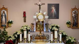 LIVE Eucharistic Adoration  Sisters of Divine Mercy [upl. by Hope]