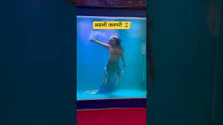 Real Jalpari  असली जलपरी🧜‍♀️  Jalpari video raigarh [upl. by Laurentia]