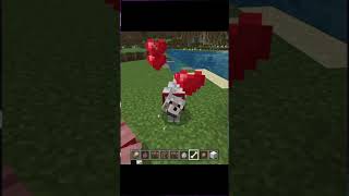 EPIC Wolf Armor minecraftshorts armadillo bearwolfallday [upl. by Lehcir]