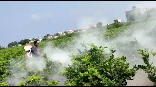 Stihl SR 450 Mist blower powder and liquid sprayer Ganesh agencies Tirupati 7013279964 [upl. by Guenna]